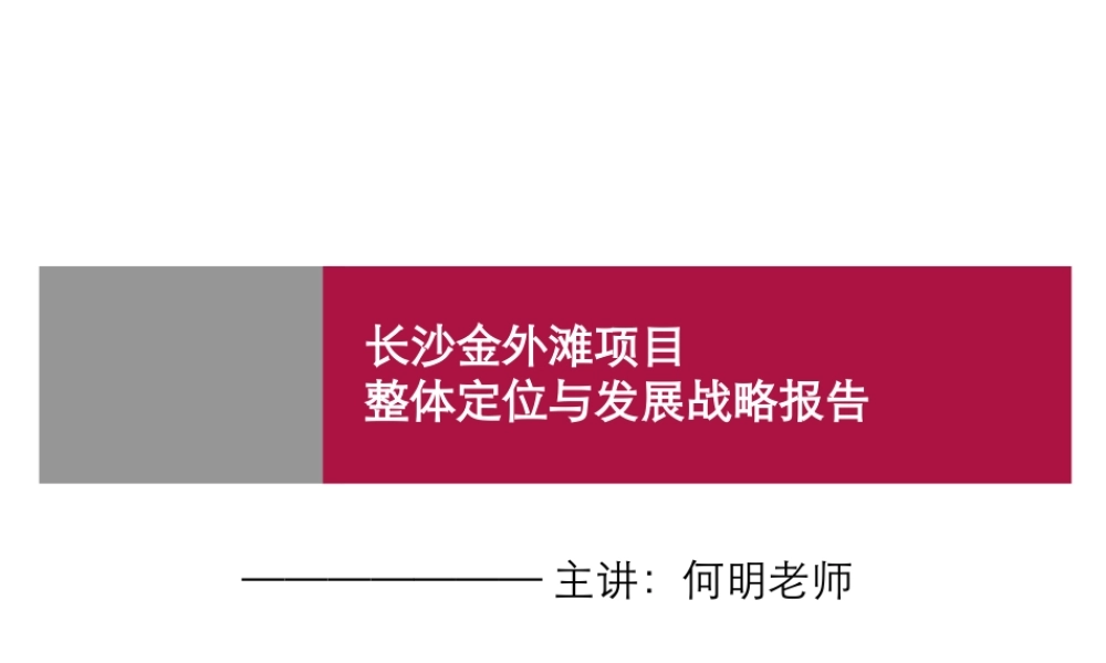 世联-长沙金外滩项目整体定位与发展战略报告