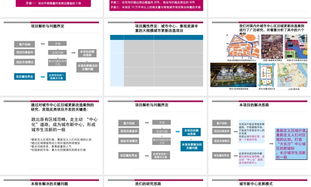 世联-长沙金外滩项目整体定位与发展战略报告
