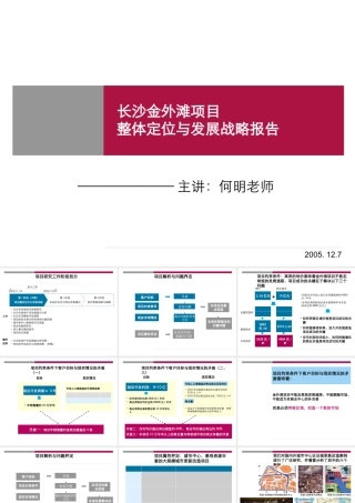 世联-长沙金外滩项目整体定位与发展战略报告