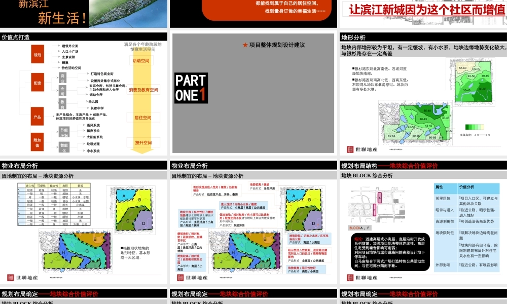 世联-长沙纳爱斯秀山丽水项目规划及发展策略报告-172PPT