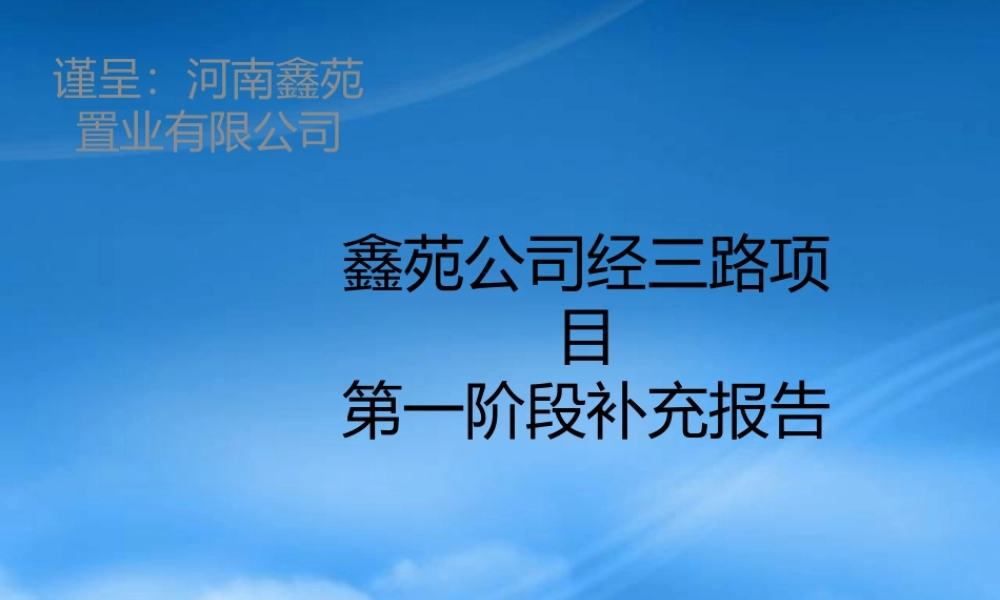 世联-郑州鑫苑公司经三路项目第一阶段-报告49页