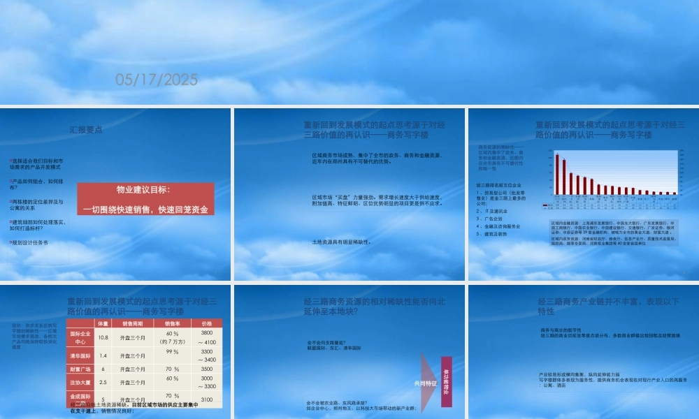 世联-郑州鑫苑公司经三路项目第一阶段-报告49页
