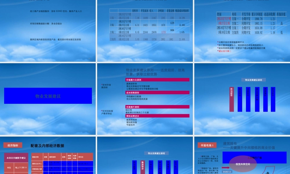 世联-郑州鑫苑公司经三路项目第一阶段-报告49页