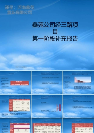 世联-郑州鑫苑公司经三路项目第一阶段-报告49页
