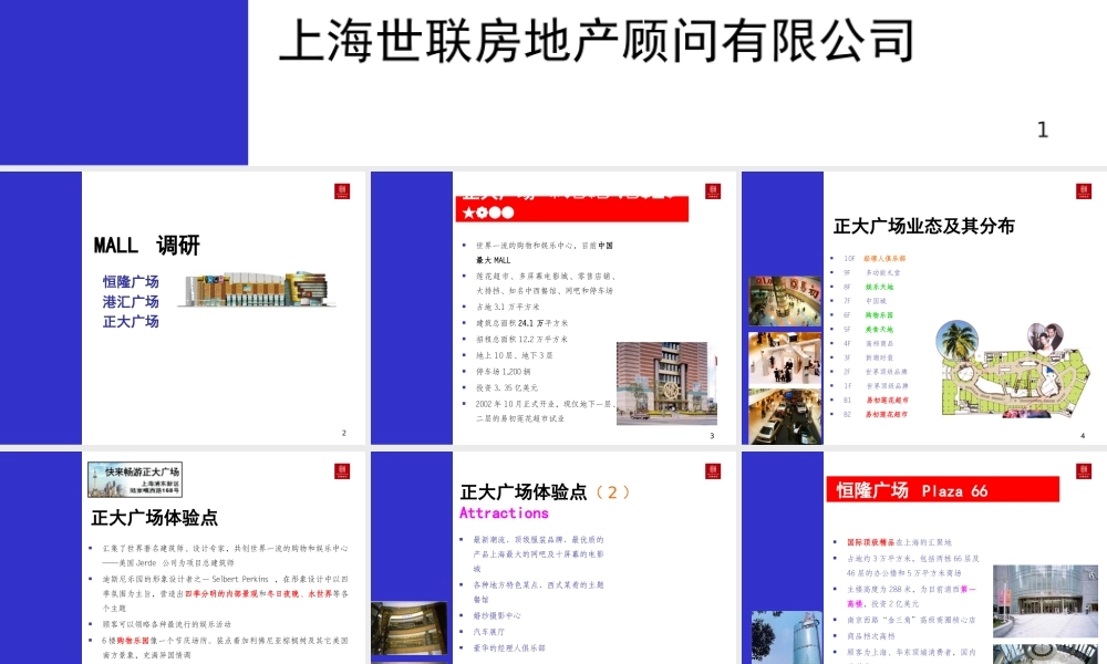 世联-中国MALL商业模式研究