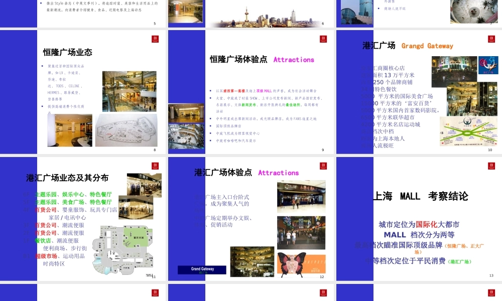 世联-中国MALL商业模式研究