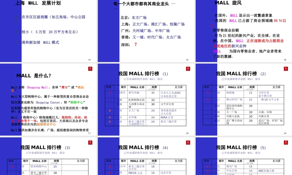 世联-中国MALL商业模式研究