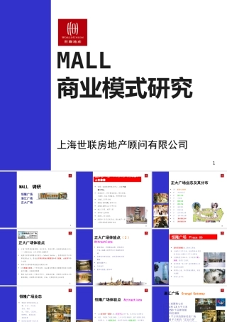 世联-中国MALL商业模式研究