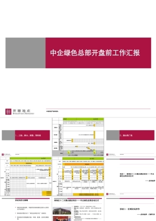 世联中企绿色总部开盘前工作汇报前期策划
