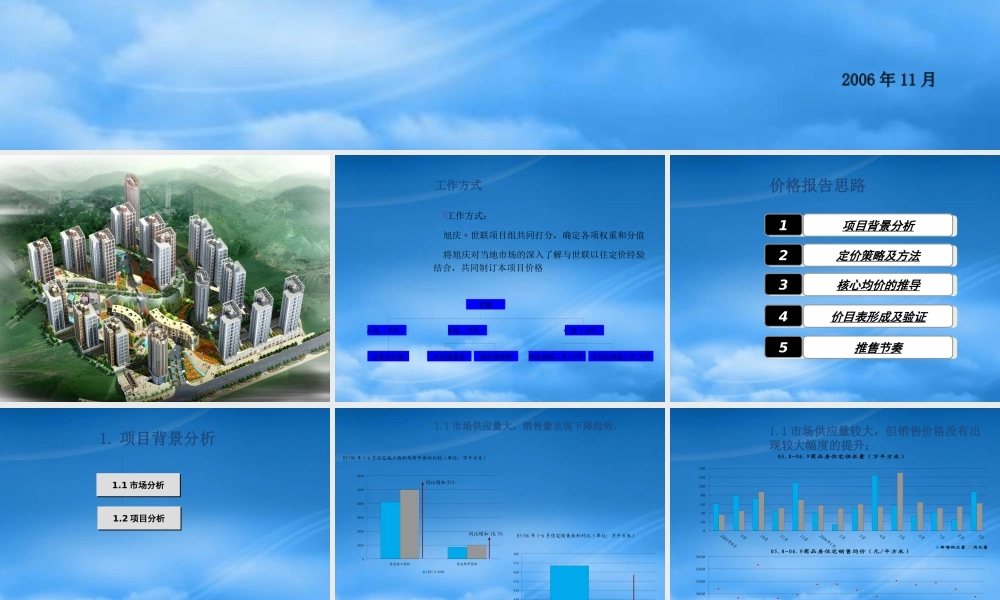 世联-重庆旭庆江湾国际花都项目价格策略报告62P