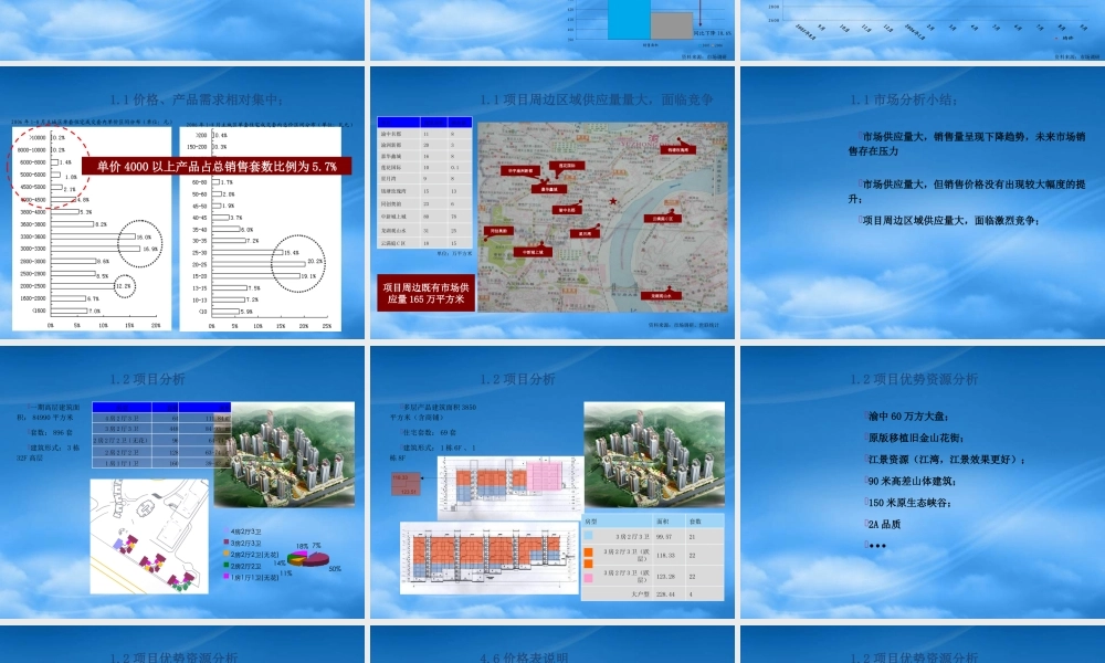 世联-重庆旭庆江湾国际花都项目价格策略报告62P