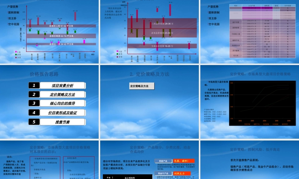 世联-重庆旭庆江湾国际花都项目价格策略报告62P