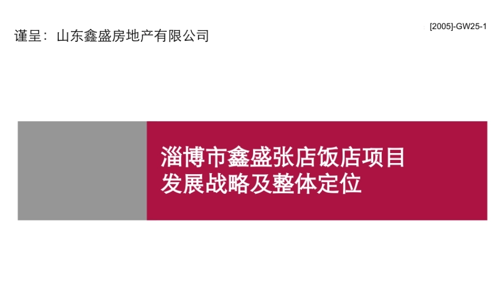 世联-淄博市鑫盛张店店项目发展战略及整体定位-151页