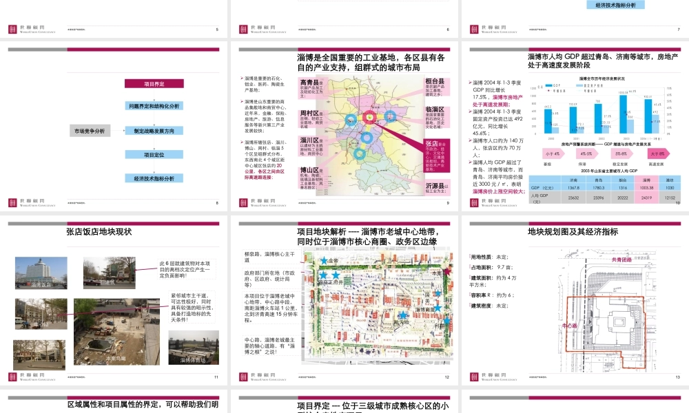 世联-淄博市鑫盛张店店项目发展战略及整体定位-151页