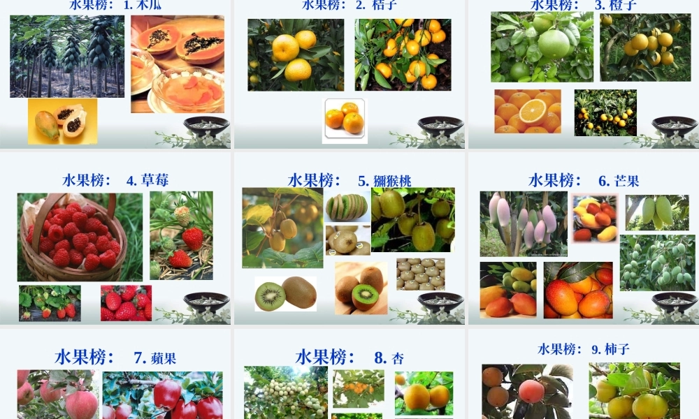 世卫组织最新公布健康食品排行榜XXXX版