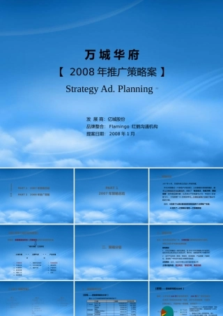 万城华府推广策略报告
