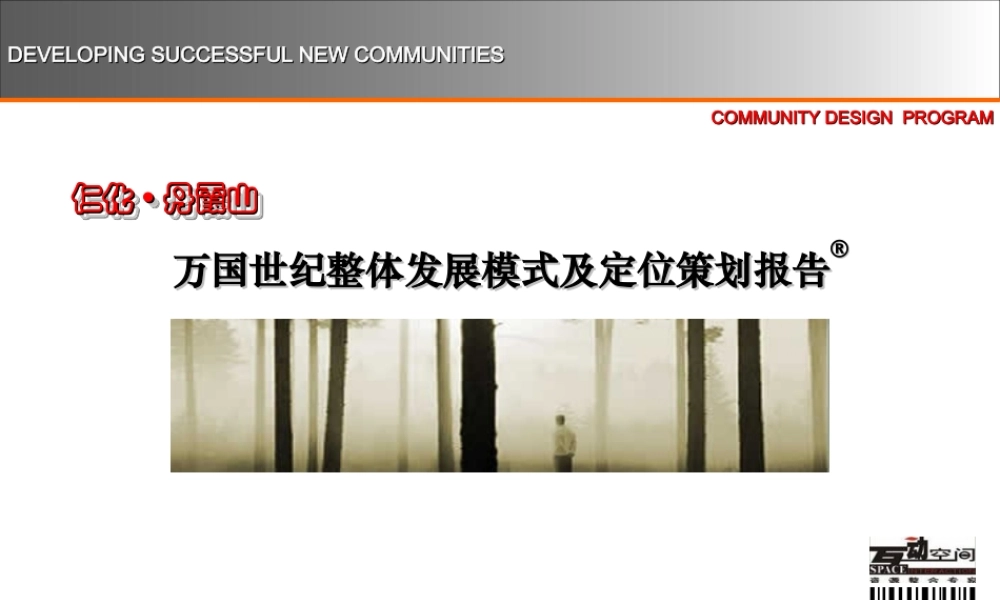 万国世纪整体发展模式及定位策划报告