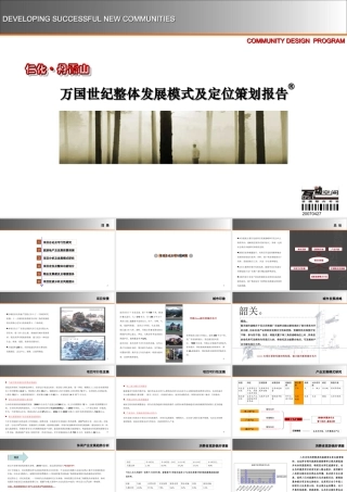 万国世纪整体发展模式及定位策划报告