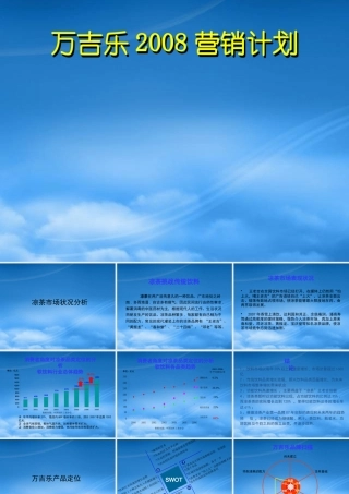 万吉乐年度营销计划讲义