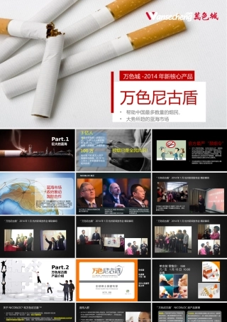 万色尼古盾产品介绍(XXXX0209美化更新)