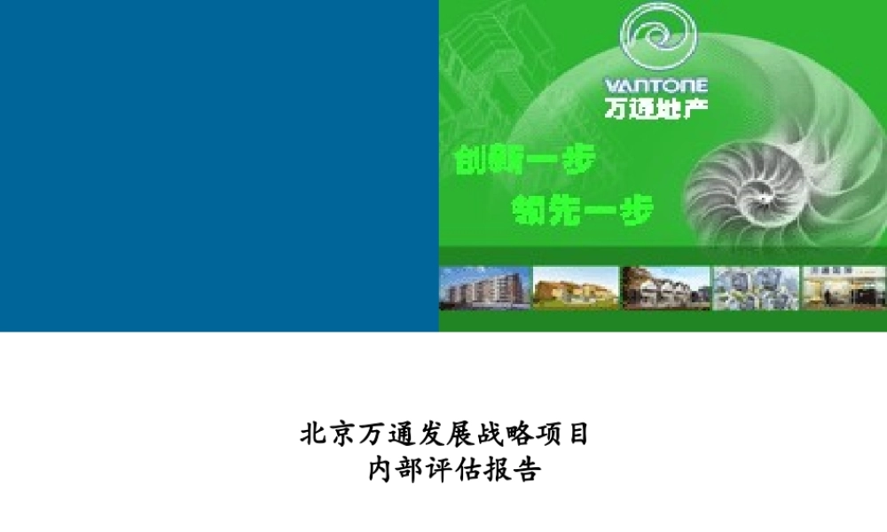 万通地产发展战略咨询项目内部评估报告