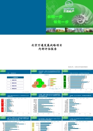 万通地产发展战略咨询项目内部评估报告