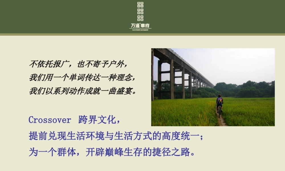 万通华府资讯中心开启策划方案