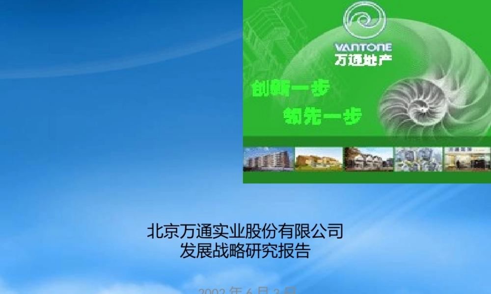 万通战略报告final report_0603