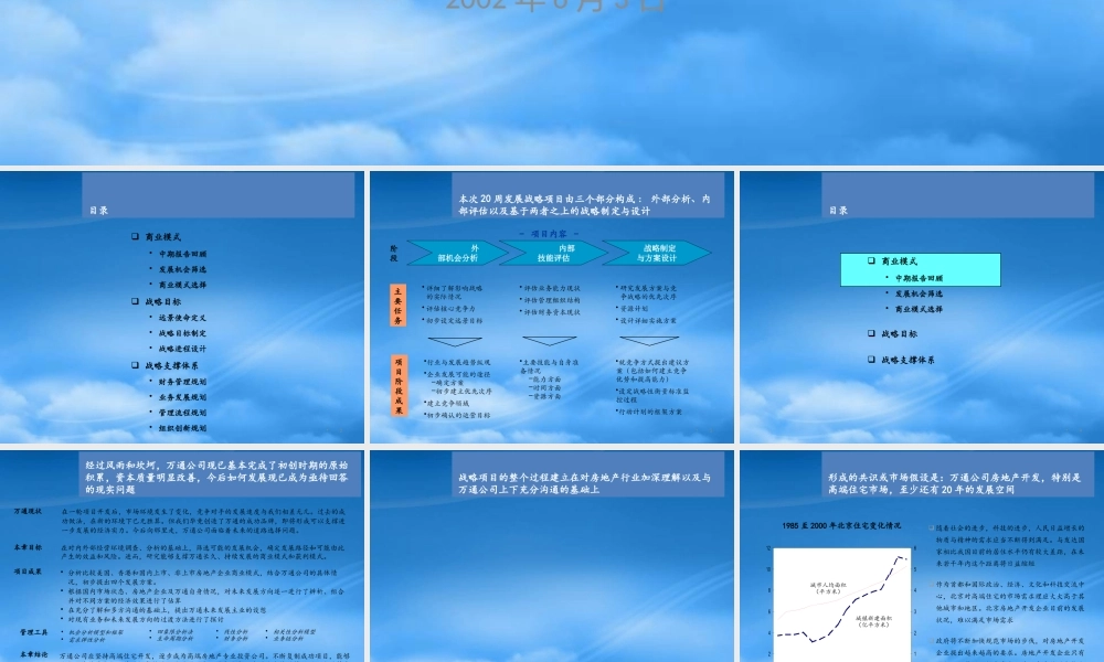 万通战略报告final report_0603