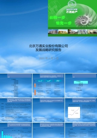 万通战略报告final report_0603