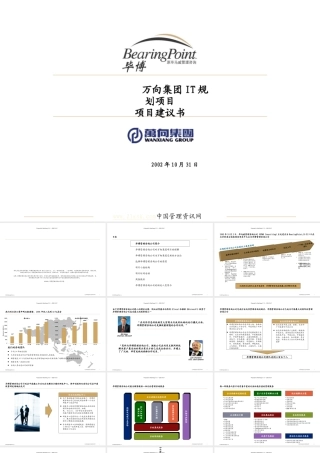 万向集团IT规划项目建议书范本