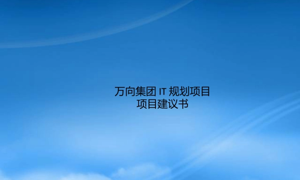 万向集团IT规划项目项目建议书
