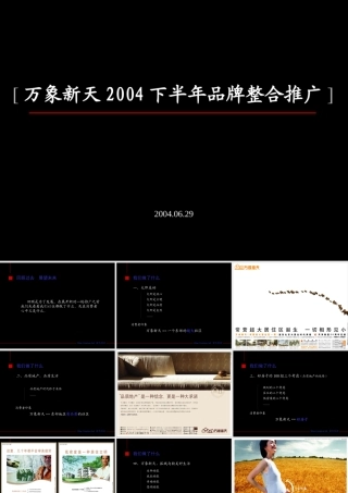 万象新天下半年推广整合