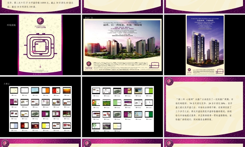 万有引力_北京金泰城丽湾高端豪宅推广方案_82PPT