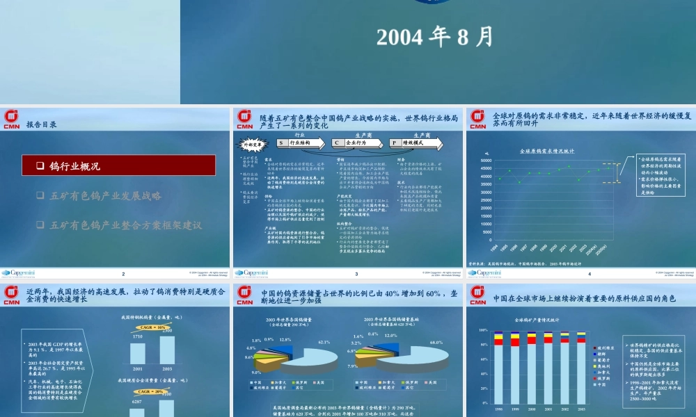 —钨产业发展战略和整合平台报告(V72)_企业管理_经