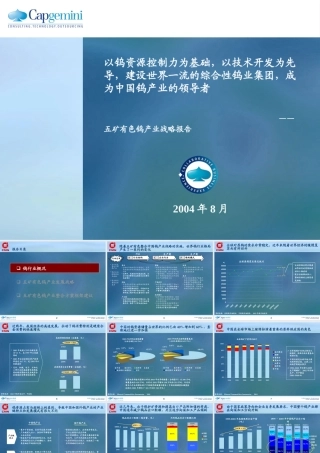 —钨产业发展战略和整合平台报告(V72)_企业管理_经