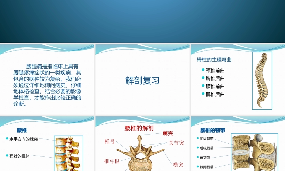 下腰痛的鉴别诊断