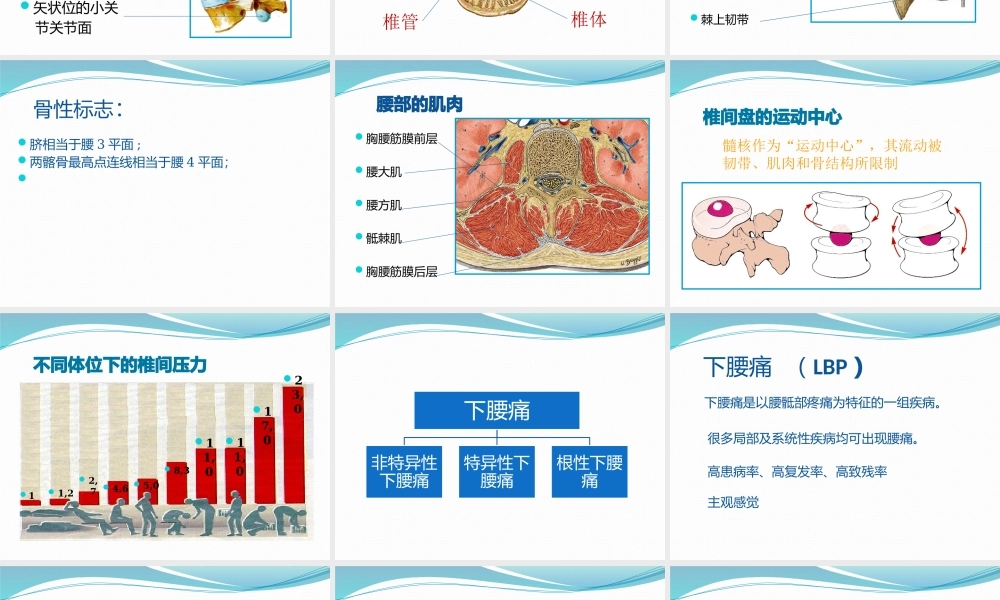 下腰痛的鉴别诊断