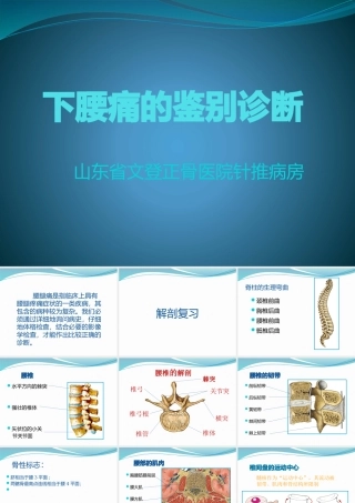 下腰痛的鉴别诊断