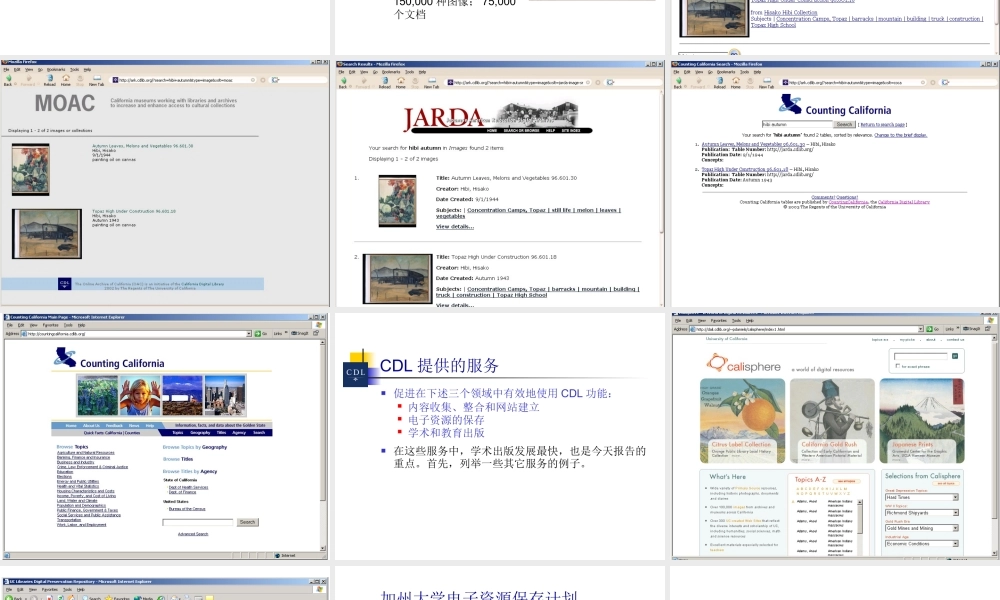 下载中文版演讲稿-StewarshipofDigit