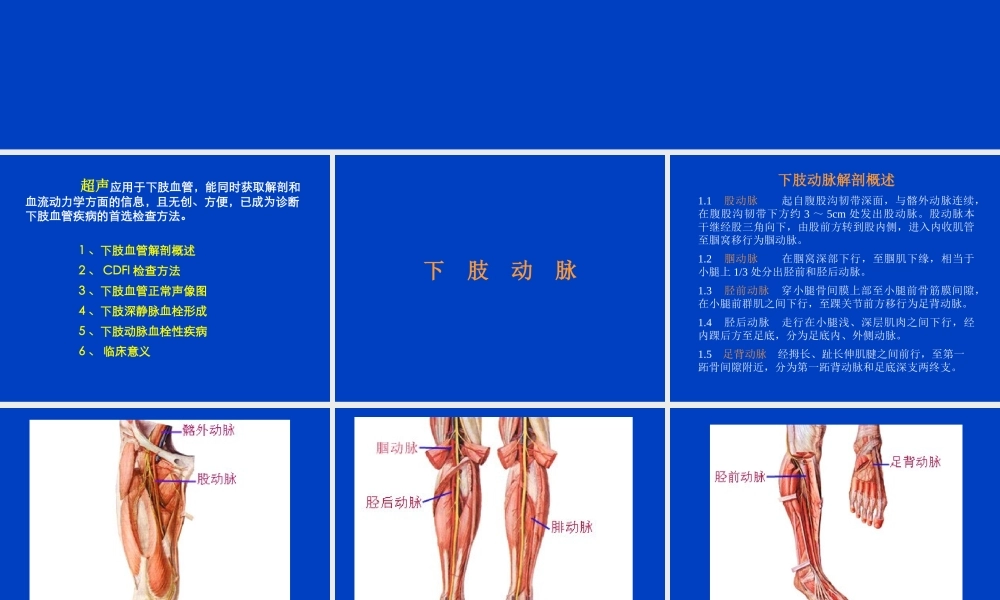 下肢血管疾病超声诊断