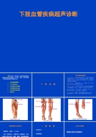 下肢血管疾病超声诊断