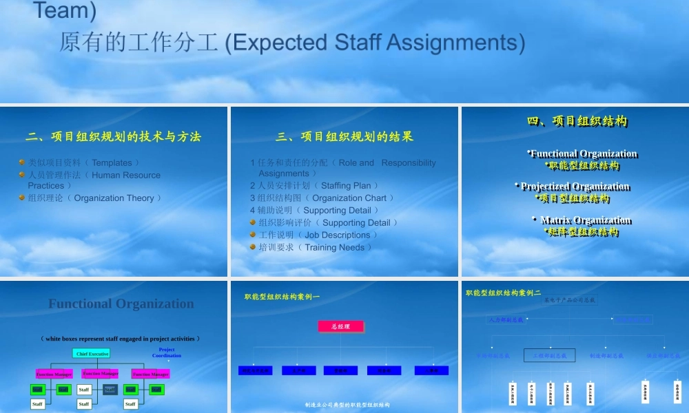 一、项目组织规划的依据