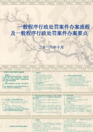 一般程序行政处罚案件办案流程及重点(PPT45页)