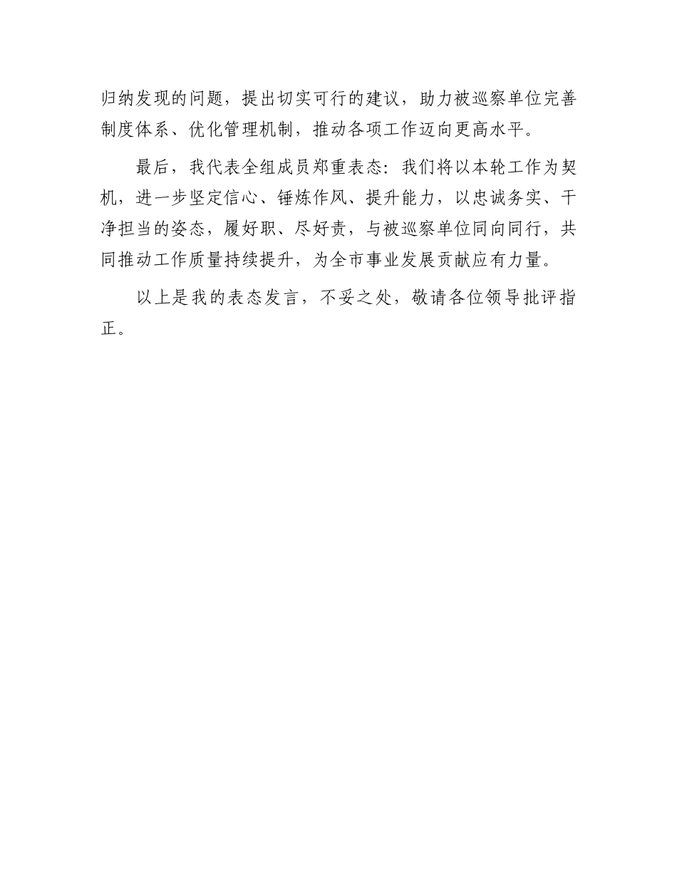 2025年巡察工作动员会组长表态发言稿_第3页