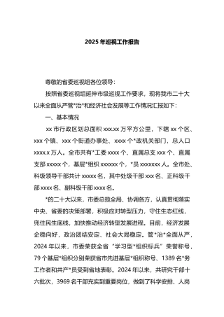 2025年巡视工作报告