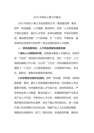 2025年组织人事工作要点