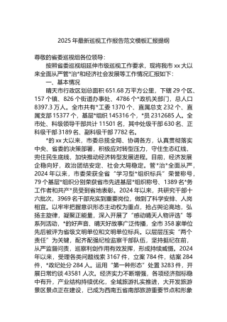 2025年最新巡视工作报告