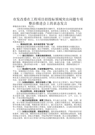 市发改委在工程项目招投标领域突出问题专项整治推进会上的表态发言