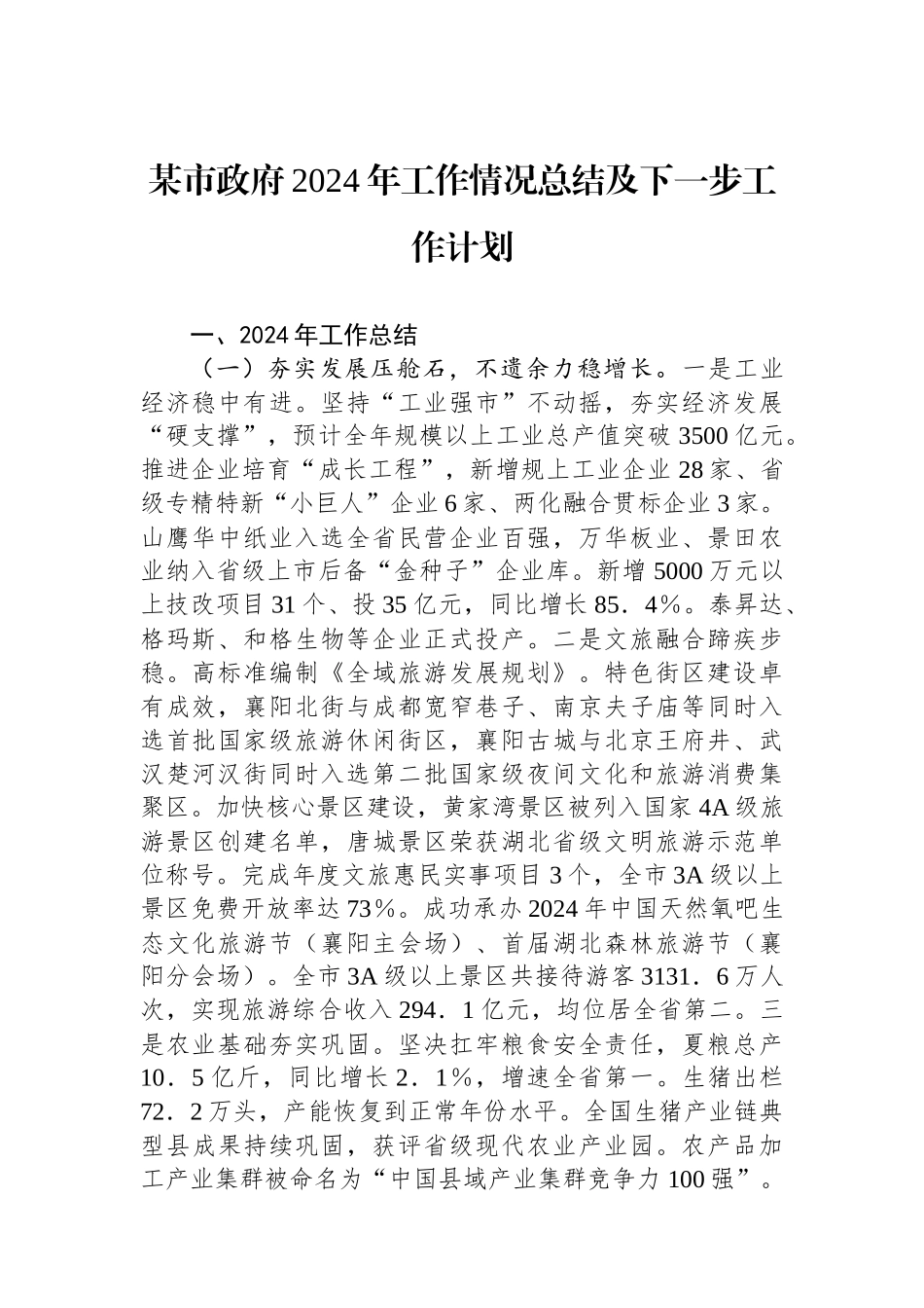 20250109某市政府2024年工作情况总结及下一步工作计划_第1页